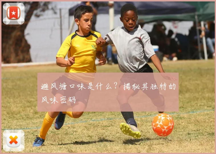 避风塘口味是什么？揭秘其独特的风味密码