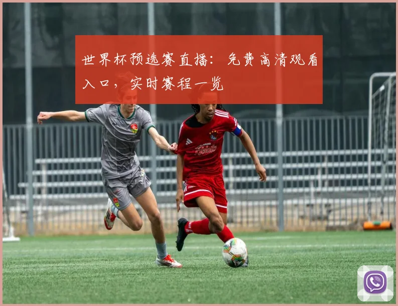 世界杯预选赛直播:免费高清观看入口,实时赛程一览