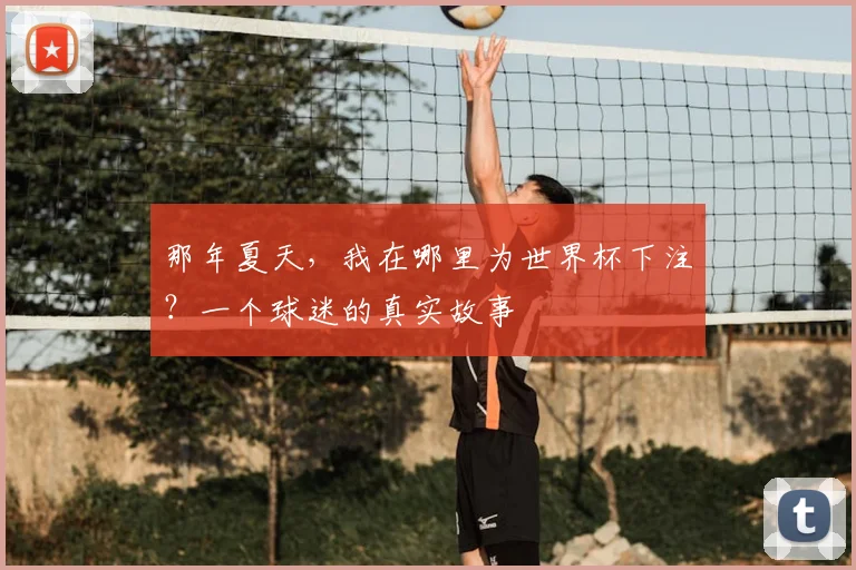 那年夏天，我在哪里为世界杯下注？一个球迷的真实故事