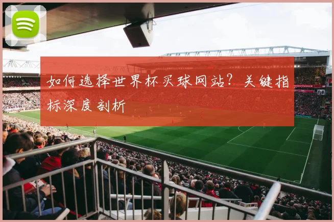 如何选择世界杯买球网站？关键指标深度剖析