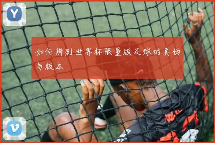 如何辨别世界杯限量版足球的真伪与版本