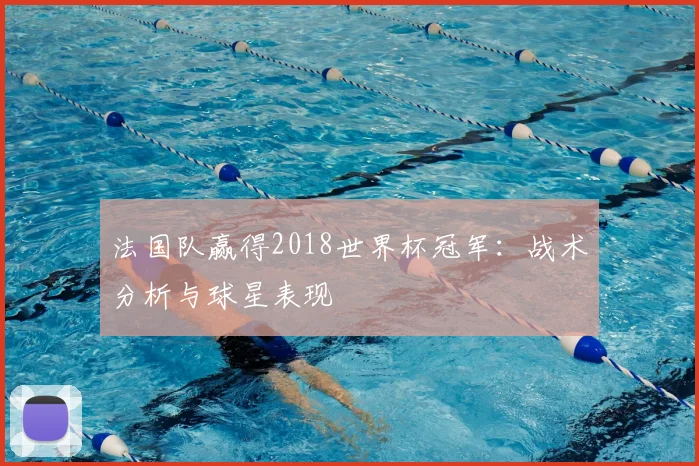 法国队赢得2018世界杯冠军：战术分析与球星表现