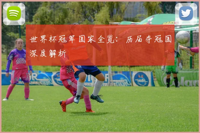 世界杯冠军国家全览：历届夺冠国深度解析