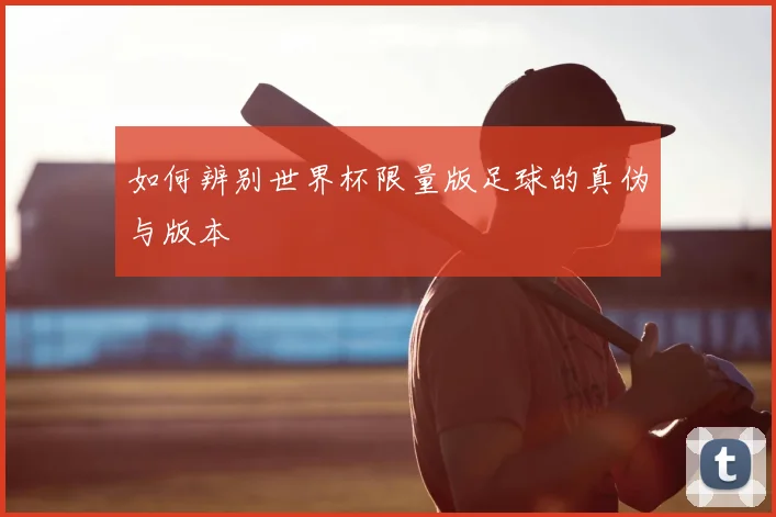 如何辨别世界杯限量版足球的真伪与版本