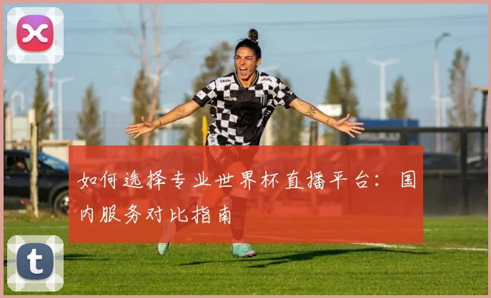 如何选择专业世界杯直播平台：国内服务对比指南