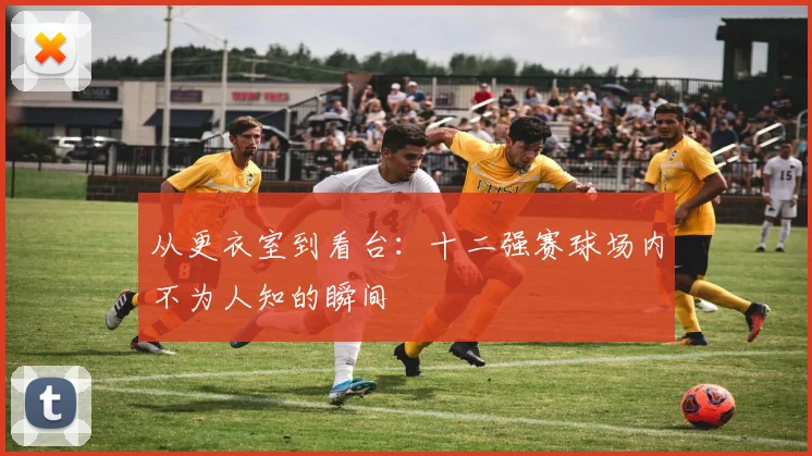 从更衣室到看台:十二强赛球场内不为人知的瞬间