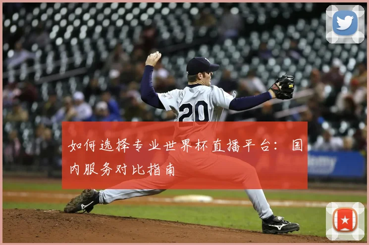 如何选择专业世界杯直播平台：国内服务对比指南
