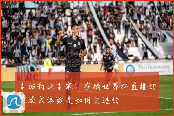 专访行业专家：在线世界杯直播的沉浸式体验是如何打造的